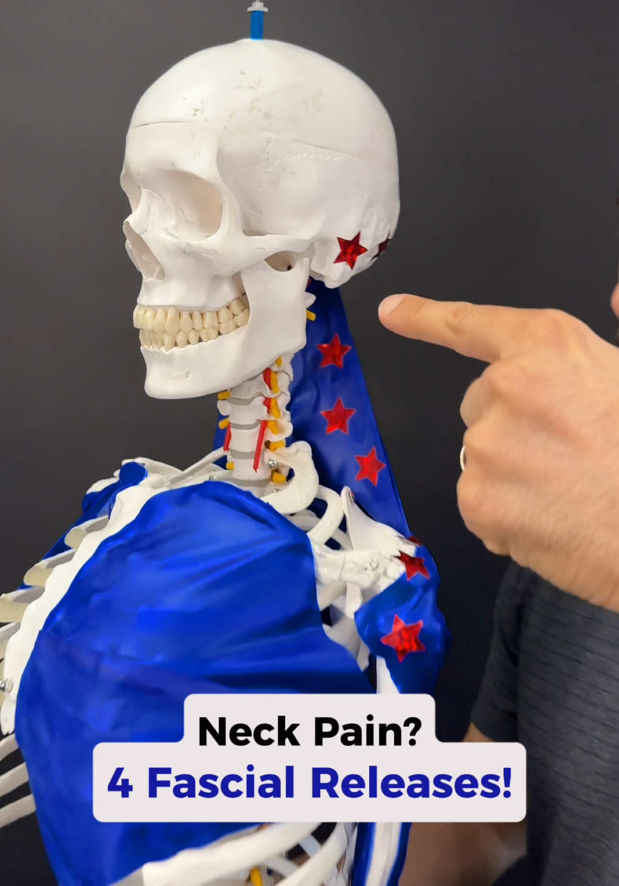 These 4 Lines of Fascia could be contributing to your Neck & Shoulder pain that won’t go away. Check out the link in my bio to take my root cause quiz and figure out what’s causing your pain! 💡 Your fascia connects your head all the way down to your fingertips. When these lines aren’t balanced, your body has to compensate… and that’s when pain shows up. Here’s the key:  You actually have four fascial lines running through your shoulders and arms. The superficial lines (front & back) create power and strength 💪The deep lines (also front & back) create stability and control ⚖️When these layers don’t work together, you get clunking, stiffness, and eventually… neck and shoulder pain. But in this video, I'll show you a few simple exercises you can do to activate ALL FOUR fascia lines.  That means relief, better movement, and long-term strength. ✅ Overhead reach to wake up the superficial front line ✅ Swinging arms to hit the superficial back line ✅ Forward & back pulls for the deep front line ✅ Thumb grabs & rotations for the deep back line And if you want to find the root cause, don't forget to take my Root Cause Quiz in my bio, and find out what’s really driving your pain! #neckpain #shoulderpain #fascia #mobilitytraining #posturecorrection 