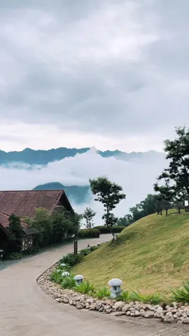 Chiều nay tại Ville De Mont Mountain Resort, sau cơn mưa biển mây lại tràn về ôm trọn thung lũng.  #villedemontmountainresort #sapa #trulysapa #luxuryresort #boutiqueresort #travel #cloudy #seaofclouds 