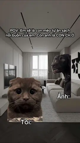 :) #memes #kozyfashion 