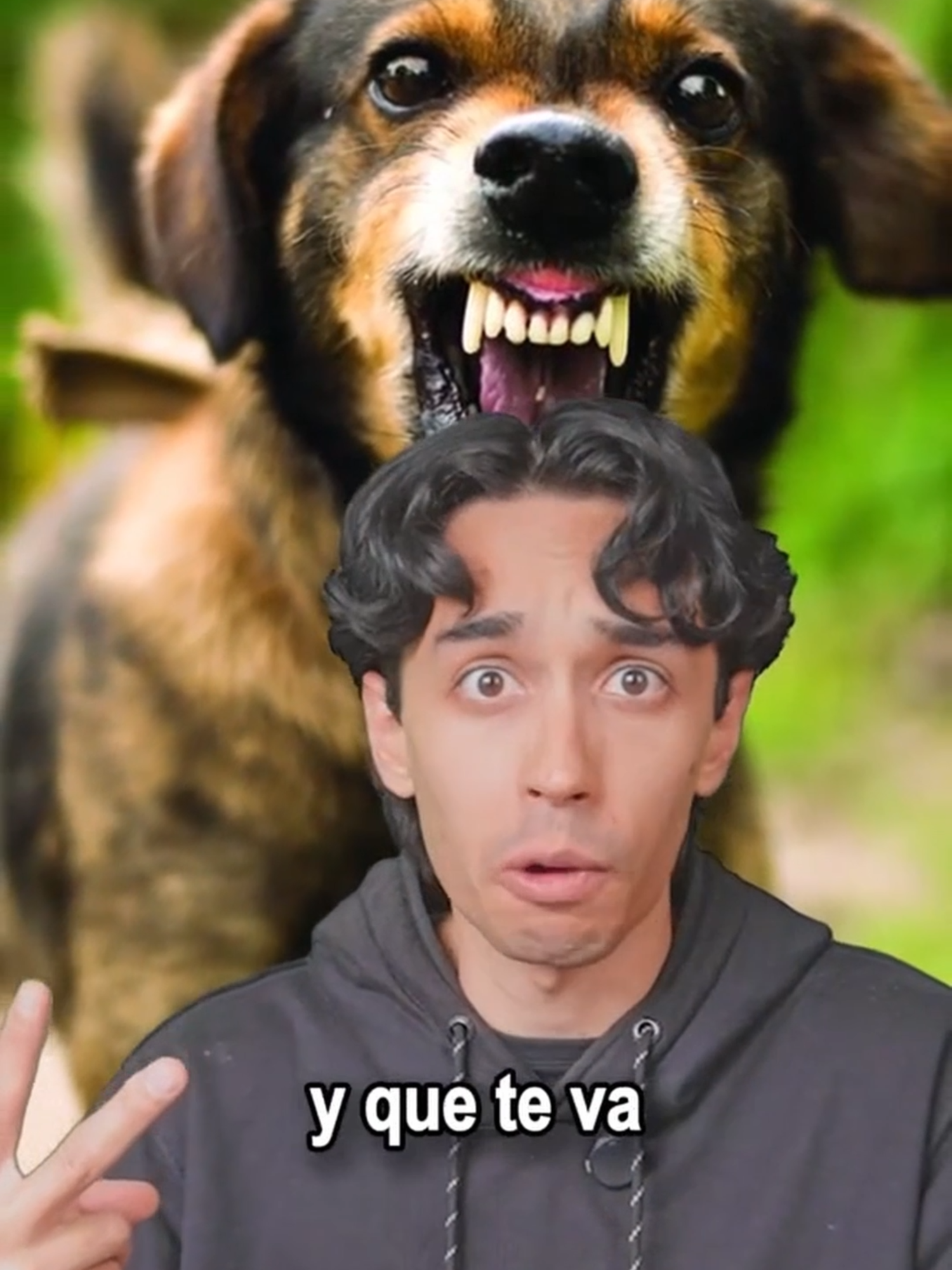 3 cosas que todos los hombres hemos hecho  . . . . . . . . . . . . . . . . . . . . . . Hombre Guayaba, Colombia, Hombres, Messi, Cristiano Ronaldo, Minecraft, perros, mascotas, humor