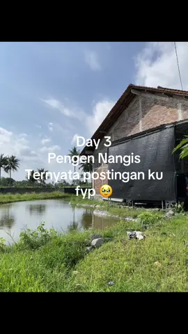 Bagian 3/4 Rumah tampak sebelah kiri. Entah kenapa dulu suami ku ga mau bikin garasi di desain rumah nya. Dan emang kita punya mobil setelah 1 tahun menikah karna uangnya harus ngumpulin lagi. Jadi pas kita beli mobil, bikin garasi darurat buat mobil pertama kita 🥹  Gimana menurut kalian? #tiktokaffiliate #Home #homedecor #rumah #fypviral 