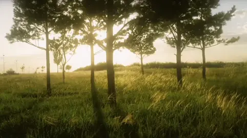 Lớn lên là khi bạn học cách im lặng dù trong lòng đầy ắp những điều muốn nói.