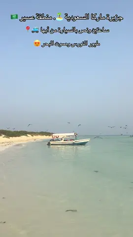 تصويري الساعة 7 صباحاً في جزيرة ماركا السعودية الساحرة الموجودة في منطقة عسير🤍🇸🇦. لمحة عن الجزيرة: تقع جزيرة ماركا ضمن نطاق محافظة البرك في منطقة عسير جنوب غربي المملكة العربية السعودية.    	•	المميزات الطبيعية تُعد من أجمل الجزر البكر في المملكة، بما تتمتع به من شواطئ رملية بيضاء، مياه فيروزية نقية، وشعاب مرجانية خلّابة، بالإضافة إلى وجود نباتات بحرية مثل المانجروف، والإسفنج، وحشائش بحرية متنوعة. الجزيرة واحة طبيعية مثالية للسباحة، الغوص، الاسترخاء، ومراقبة الطيور المهاجرة مثل النورس والفلامنغو.     	•	الوصول والنشاطات تبعد الجزيرة حوالي 20 كم عن الشاطئ، ويمكن الوصول إليها بالقارب خلال نحو 30 دقيقة. في طريقك هناك، يمكنك التقاط صور للدلافين والمناظر الطبيعية الخلابة، والاستمتاع برؤية الشعاب المرجانية أو الاسترخاء على الشاطئ. #saudi#saudiarabia🇸🇦ل#المملكة_العربية_السعوديةو#السعوديةs#Red_seaر#البحر_الاحمر