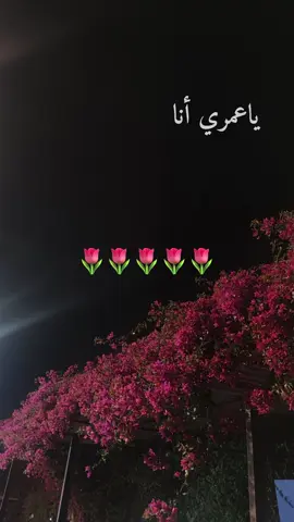 ياعمري أنا🌷 #بدون_موسيقى 
