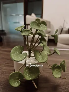 ကဲ … ငိုမနေနဲ့တော့ #shin #feelings #mood #songs #fyppppppppppppppppppppppp 