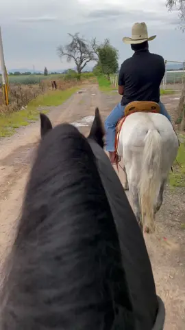 🤝🤠🌳@🪬 #vaquero #rancho #caballos #paratii #fyp 