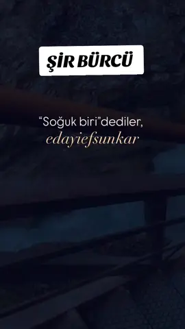 #aslanburcu #leo #şirbürcü 