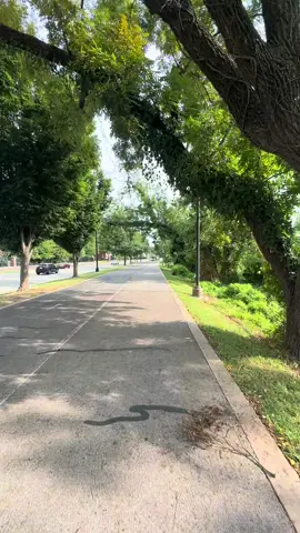 ✨ The weekends hit different when Cody’s in charge 💡💜 I never know what he’s gonna dream up — but it’s ALWAYS an adventure. This one was full of surprises → music so good it kept us dancing, lights that made everything magical, random outfits that turned into a vibe, the yummiest food & my forever favorite adventure buddy 🥂 Here’s to more weekends that feel like a movie 🎶💫 #WeekendVibes #CoupleGoals #AdventuresTogether #GoodTimesOnly #LifeIsBetterWithYou  