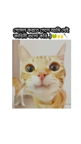 🐸🙌🌚🤌🏻 , , ,#foryou #rabbysk62 #terningterningbrother #repostcopylinkplz #fhypシviral @TikTok Bangladesh @#foryou 