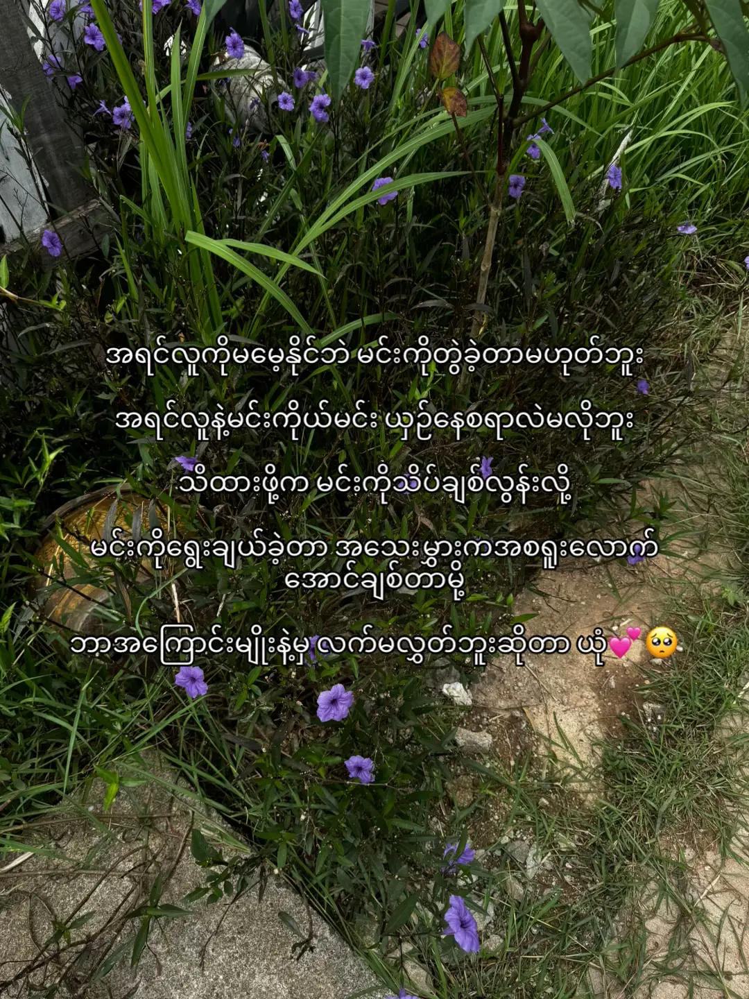 #foryou #tiktok #fypシ #အချစ်ရယ် 