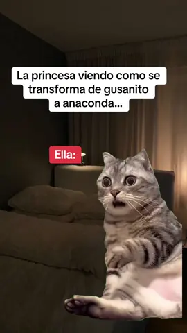 #jajaja #viralvideo #MemeCut 