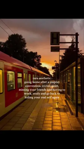 conventions and cosplayers after carrying my sanity 😢 #cosplay #cosplayer #real #relatable #fyp #viralvideo #rareaesthetic #cosplayfyp 