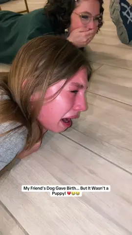 😭 #puppylove #dog #dogsoftiktok 