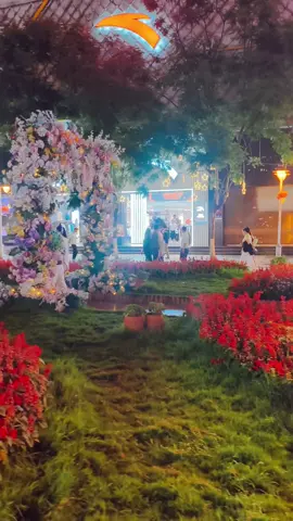 #beatifull #veiws #viral #tiktok #flypシ #kunming #china 