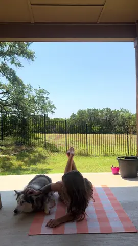 #fyp #fypシ #huskylife #husky 