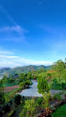 Khung cảnh buổi sáng của mây núi  #omertacoffeeandtea  #sanmaylocthanh🥰🥰🥰  #skyviewthienduongmay