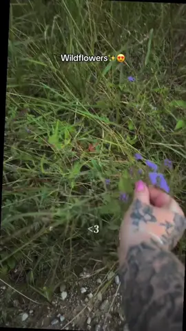 I love these!! #wildflowers #flowerpreservation #flowerpicking #wildflowerlover #flowers @VANWOONY 