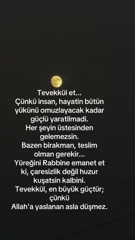 #tevekkül #keşfettttt #dünya #allahuekber #keşfetedüşürbeni 
