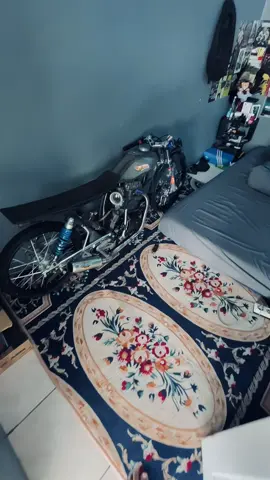 🐗#57gank #fyp #herex #masukberanda 