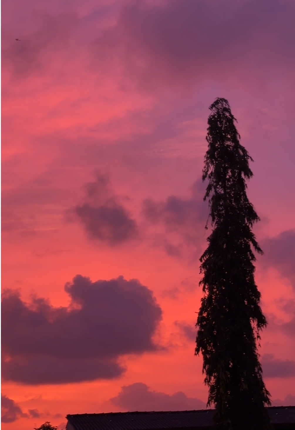 අද අහස 🥹😫🩷 #dil✨ #fyp #viral #srilanka #evening 