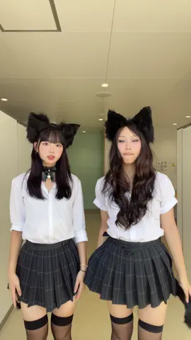 エロ猫した🐈‍⬛　#7
