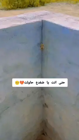 #creatorsearchinsights  #ابوغياث  #اكسبلورexplore  #متابعه_ولايك_واكسبلور_احبكم  الحمل ثقيل لكن هذا قدرك وعلى الكبير أن يتقبل قدره منذ البداية كان كل شيء واضح لا يمكن العوده💔