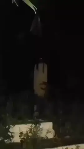 totoo talaga to guys may nag sesend ng vid sa gc namin shaka sabi ni Sir na legit talaga daw ito rinig naman talaga ung boses at sigaw ng mga aso #xybca #horror #fyp #viral #whitelady 