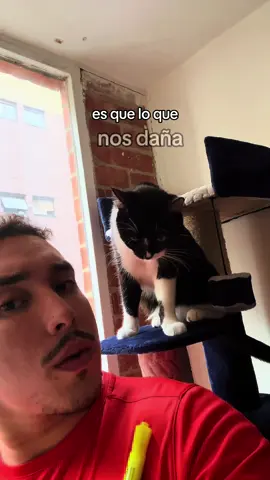 #cat #reflexion #Amor #amar  #terapia 