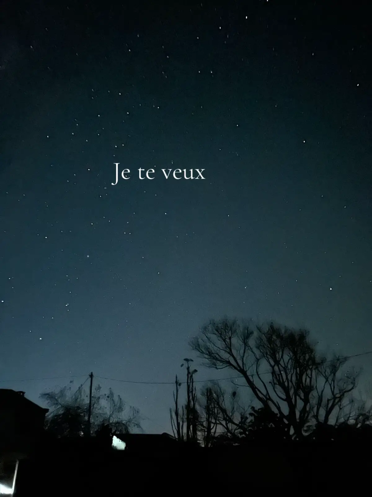 #toutlemonde 