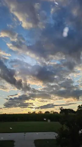 Morning Motivation  #CapCut #funnyshit #fyp #humor 