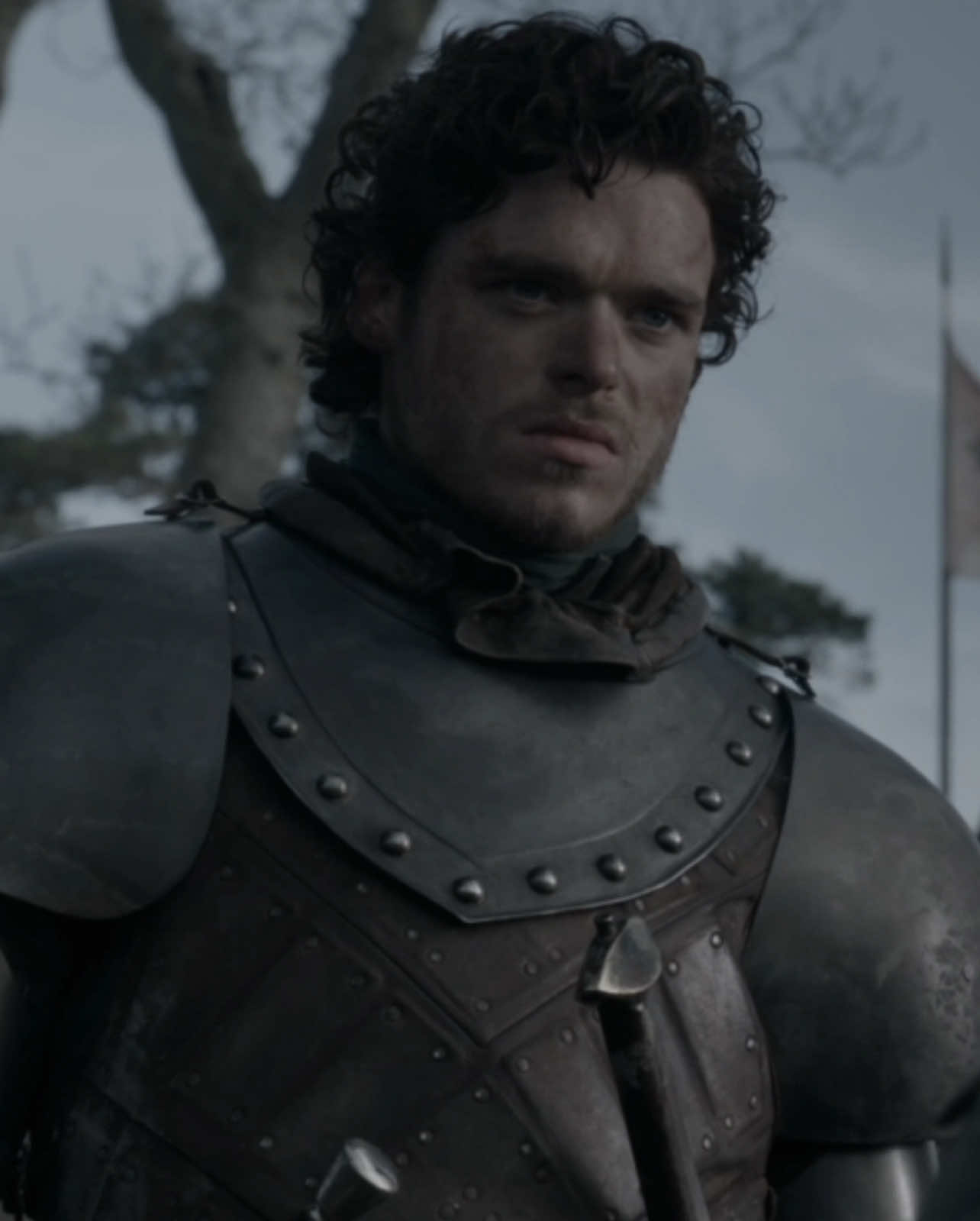#fyp #got #gameofthrones #robbstark #robbstarkedit 