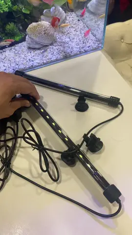 #cuongtrainghiem9 #denledthongminh #denledtrangtri #denbecacanh #visinhchoca 