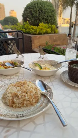 #السعودية #مصر #الرياض  #القاهرة