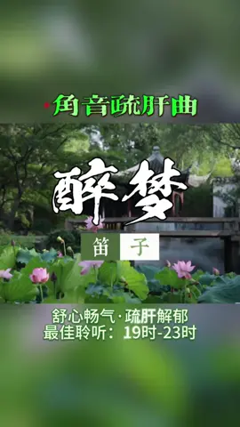 「醉梦」《角音·木调》：明快节奏如嫩芽破土，疏肝理气、提振精神，为疲惫的身心注入生机与活力。#五音疗愈 #养生 #治愈 #音乐 #上热门 
