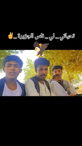 #الشعب_الصيني_ماله_حل🦅🦅🦅🦅😂😂😂😂😂😂😂😂😂😂😂😂😂😂😂😂😂😂 