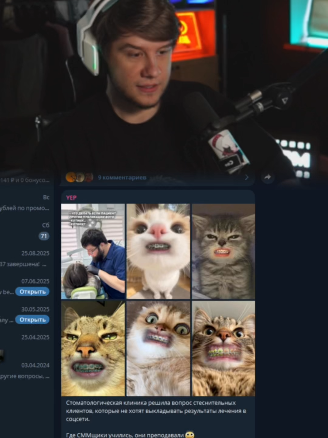 twitch: lagoda1337 #lagoda #lagoda1337 #twitchmoments #коты #стоматология