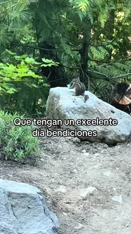 Para ti 