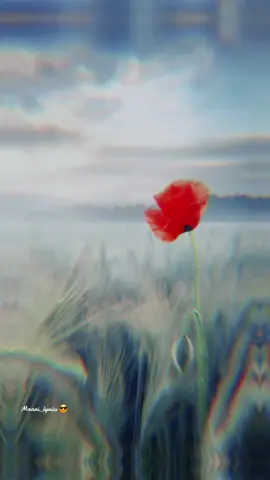 Kaatrin alai varisai ketkindratha  Track  :  Poongatrilae un swasathai Movie : uyire Singers : Unni menon  Music by : AR rahmaan  #arrahman #tamilsong #fyp #fyyyyyyyyyyyyyyyy #feelgood 