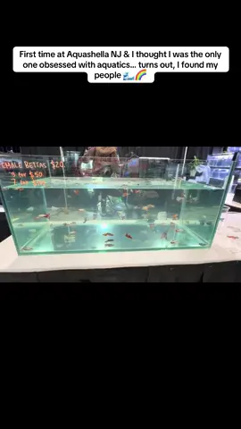 Two days ago POV: Walking into Aquashella NJ for the first time like 👀🔥#fish  #aquarium  #fyp #foryoupage #aquariumhobby 