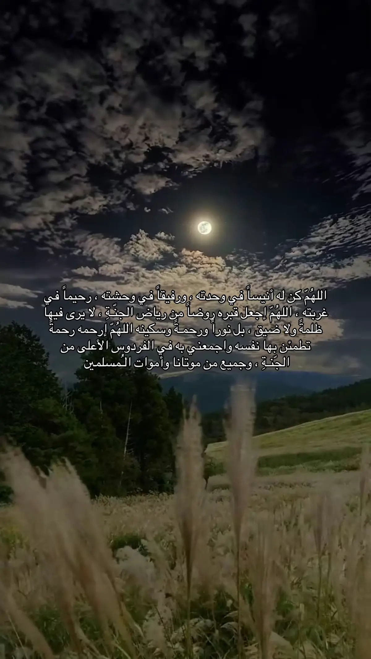 #صدقة_لفقيدي #دعاء_للميت #جعلك_للجنة #explore #صدقه_جاريه_لجميع_اموات_المسلمين 