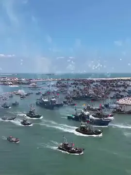 قافلة الصمود تتجه الى فلسطين ربي يحفضهم ان شاء الله ❤️✌🏻