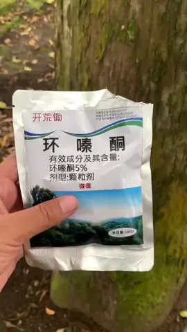 (BELI 1 GRATIS 1) Bubuk TREE KILLER Hexazinone Herbisida Pembasmi Rumput Pohon Besar dan Bambu 500gram #petaniindonesia🇮🇩🇮🇩🇮🇩🌿🌿 #petani #obattanaman #petanimuda #fyp 