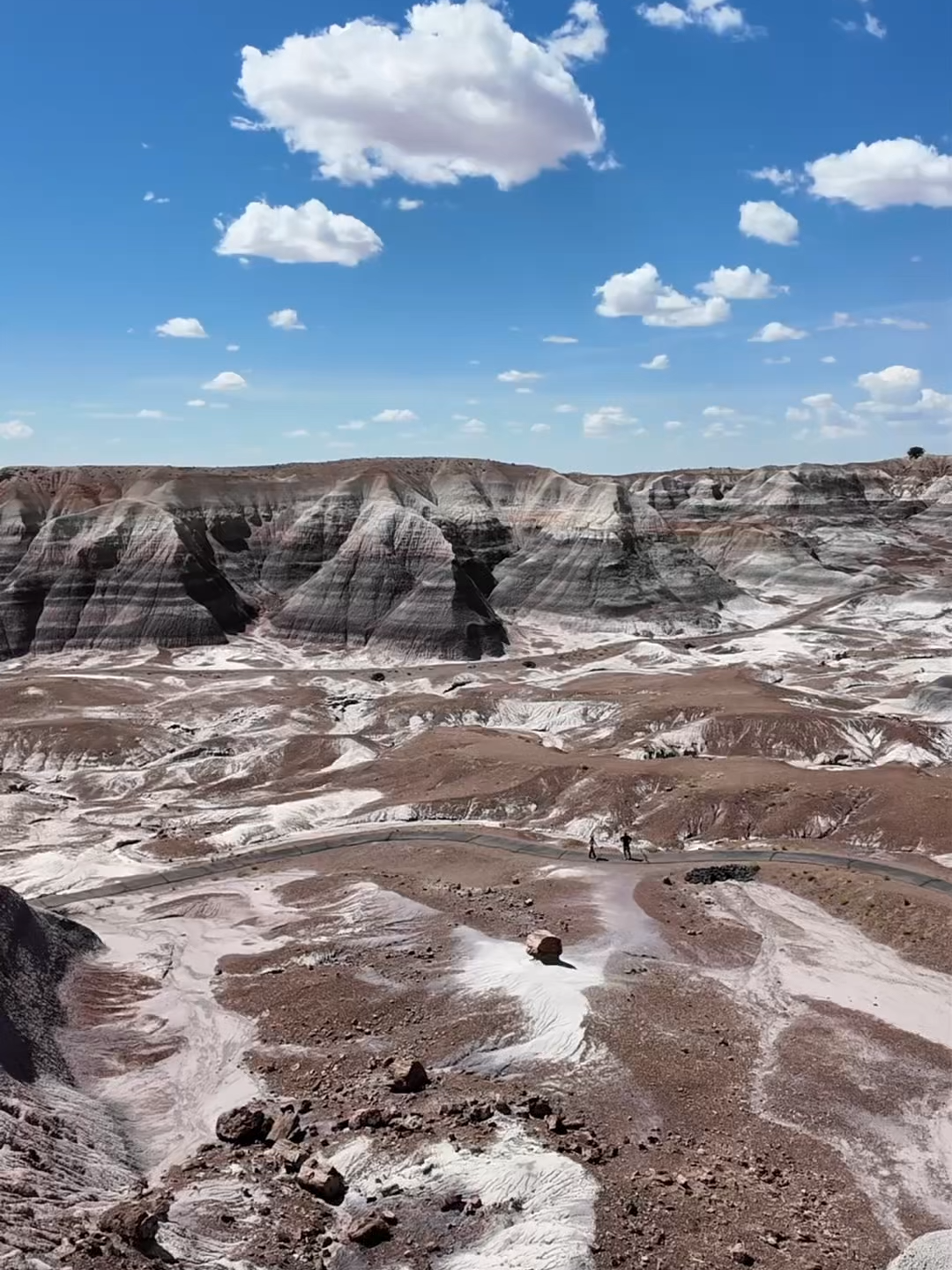 Take 1 minute ⏳. In Petrified Forest National Park, you can see time through the stone. Sit with the history, the sunshine, the change.  Breathe. #breathe #seeyouintheparks #meditation #natureheals #route66
