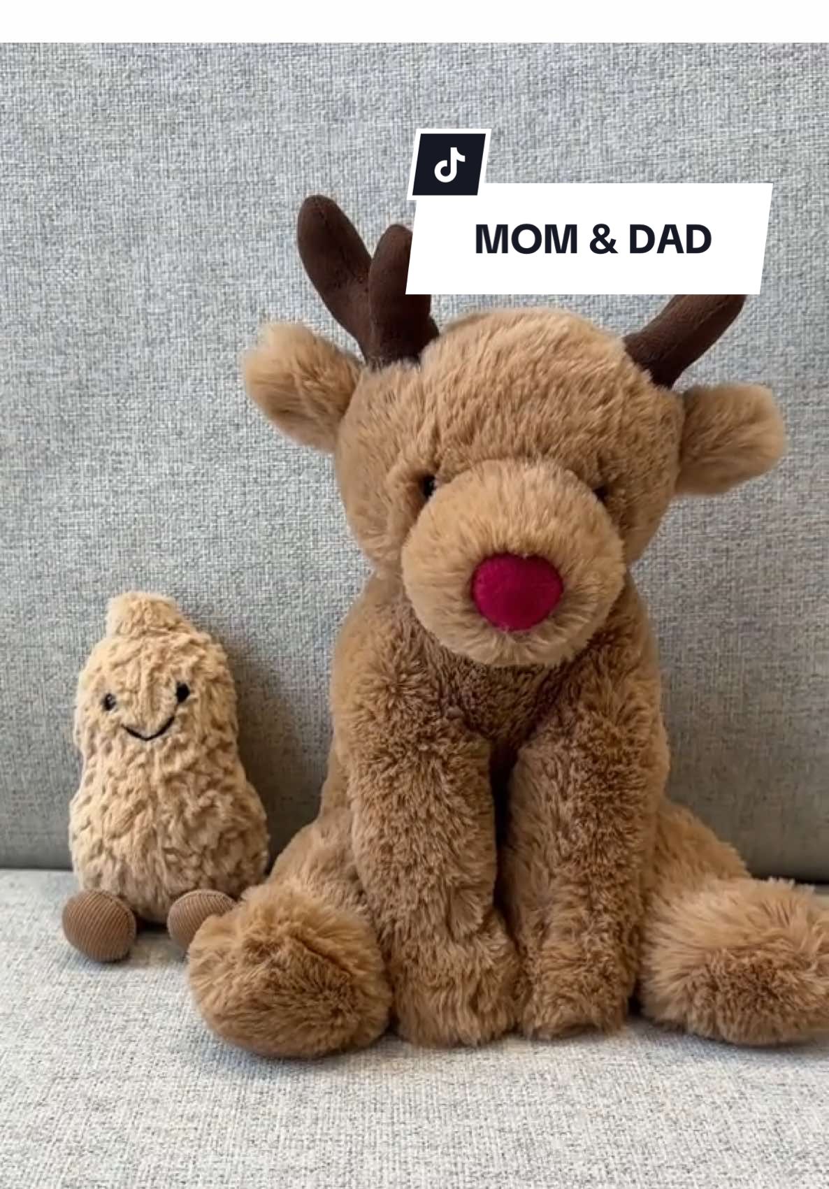 Hi Ryan👋🏼.. #jellycatchristmas #jellycatviral #jellycatcollection #jellycatcollector #jellycatrelease 