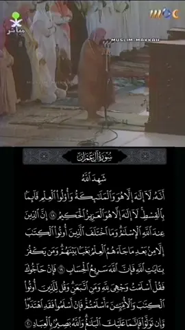 #fyp #viral #muslimtiktok #عبدالرحمن_السديس #gaza 