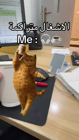 عادي بشرب قهوة 😌💤 . . #explore #رياكشن #your_coffee #عمل 