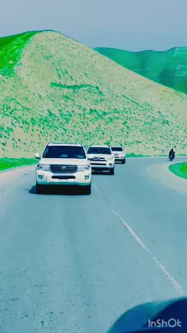 Alizai sab❤️❤️❤️