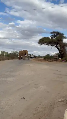 #creatorsearchinsights #respect  Total silence 🤐,stay calm 