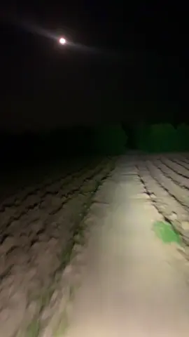 #ستومانی_پکے_دہ_ٹول_سفر_اوباسم #standwithkashmir #foryou #vadio🙏🙏🌹 #viraltiktok @👽 ٹچ سکرین سوپی 🐜 @Naveed khan @AMIR___GULLI 