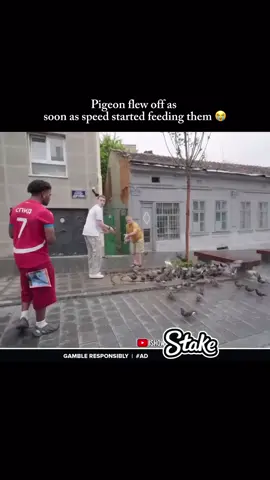 racist pigeonz 😭😭🥲 #speed #ishowspeed #ishowspeedlive #unfreeze #oldaccountban 